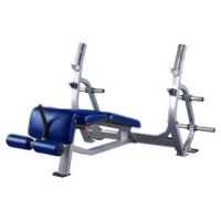 Pro Maxima PLR-300 Olympic Decline Bench w/ Weight Storage