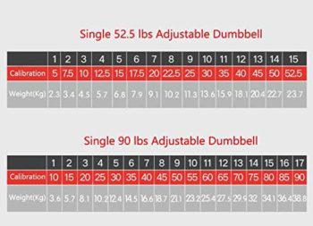 evionsits Adjustable Dumbbells, Dumbbell Weights, Dumbbells Set for Men and Women Home Fitness Weight Set Gym Workout Exercise Training(A Pair