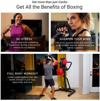 Nexersys N3 The Personal Boxing Trainer. Challenging and Fun HIIT Workouts Full Body Workouts Including Cardio, Core, Striking, Mitts & Sparring Rounds. Next Level Interactive Fitness