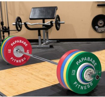 papababe Olympic Change Plates 2 inch Fractional Weight Plates Designed for Olympic Barbells for Strength Training