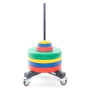 Vertical Bumper Plate Storage