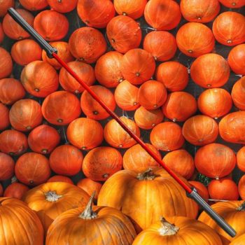 20kg Pumpkin Spice Barbell