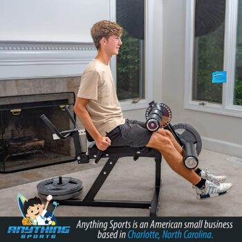 ANYTHING SPORTS Heavy Duty Adjustable Leg Extension and Curl Machine 2.0