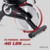 sole sb700 light commercial indoor cycle trainer