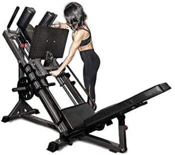 Iron Company BodyCraft Hip Sled