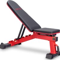 DERACY Adjustable Weight Bench for Full Body Workout, Incline and Decline Weight Bench for Indoor Workout, Home Gym