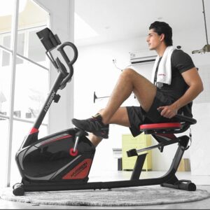 HARISON Recumbent Exercise Bike With Arm Exerciser...