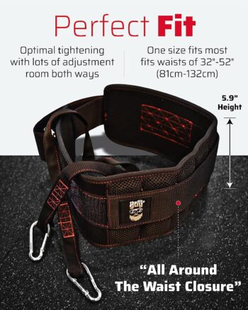 THEFITGUY Ultimate Dip Belt | Secure Closure - No Sliding Down | Structured Back Support | 45-Angle Rings - Comfort Dip Position | 40” Strap & 2 Snap Hooks - for Dips, Pull-Ups, Squats, Weight Lifting