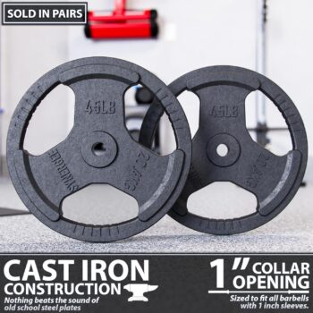 Synergee Cast Iron Weight Plates with 1” Opening for Bodybuilding, Olympic & Power lifting workouts. Metal Weight Plates Sold in Singles, Pairs & Sets. Available from 2.5 to 45 Pounds.