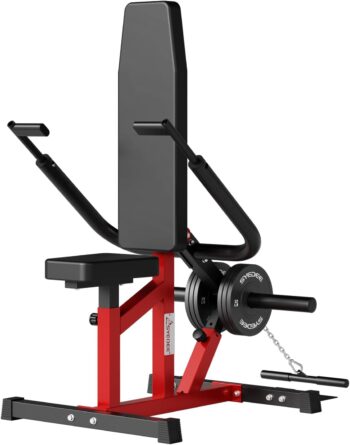 syedee Seated Dip Machine Plate Loaded- Tricep Dip Press Machine with Cable Bar for Biceps Chest Training, Hold up to 400LBS