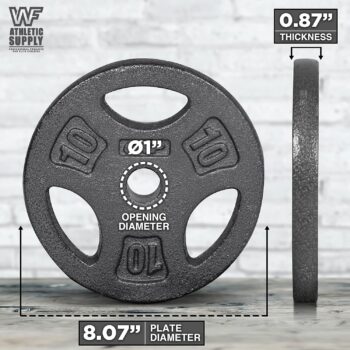 WF Athletic Supply Cast Iron 1-Inch Standard Grip Plate for Strength Training, Muscle Toning, Weight Loss & Crossfit - Multiple Choices Available