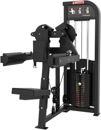 SFE Lateral Raise Delt Machine with 250lb Weight Stacks