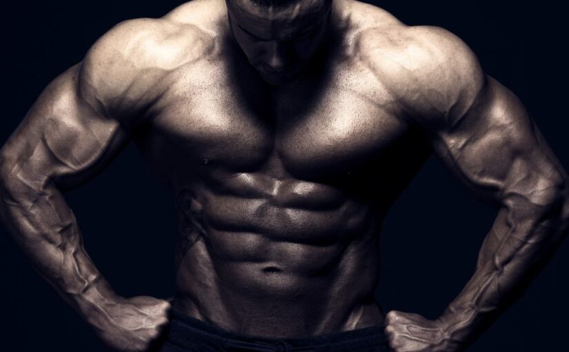 muscle size and strength