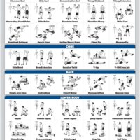 Palace Learning Dumbbell Workout Exercise Poster - Free Weight Body Building Guide | Home Gym Chart - LAMINATED, 18" x 24"