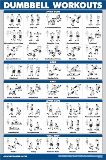 Palace Learning Dumbbell Workout Exercise Poster - Free Weight Body Building Guide | Home Gym Chart - LAMINATED, 18" x 24"